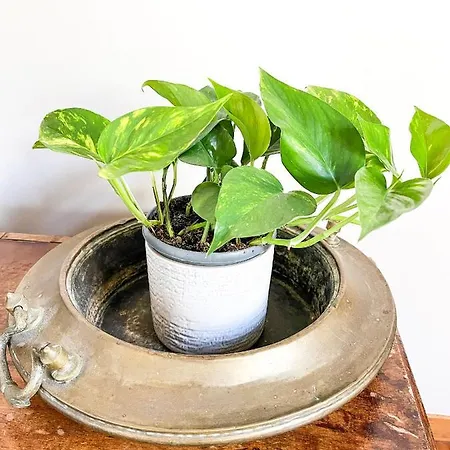 Paradise Convent Firenze